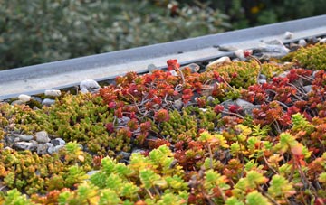 the cost of Rotten Row green roof installation